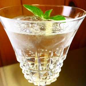 Clear sparkling beverage served over ice in a crystal-cut glass, garnished with fresh mint leaves.