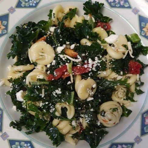 Sauteed kale with pasta, sundried tomatoes, feta, and parmesan cheese in a white bowl.