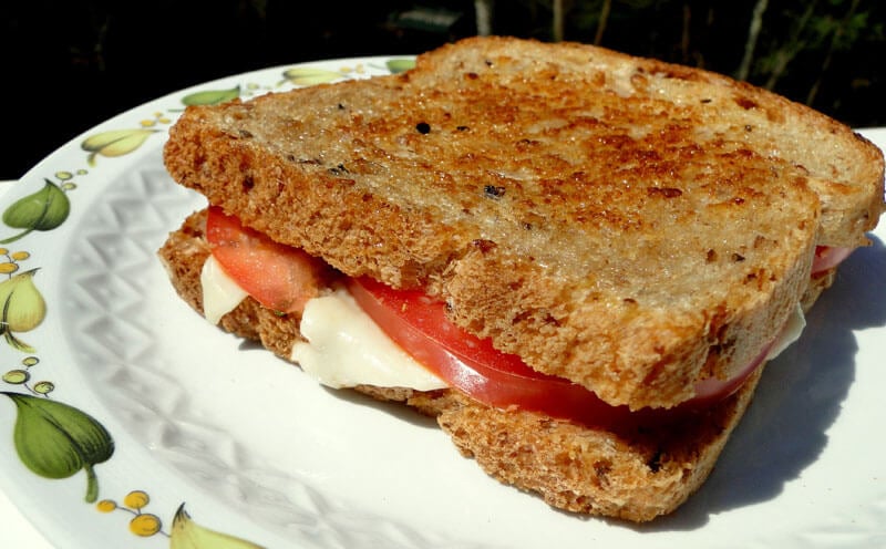 A grilled sandwich made with toasted whole-grain bread, sliced tomatoes, and melted cheese, served on a decorative plate.