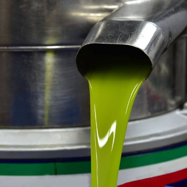 A stream of fresh green olive oil pouring from a stainless steel spout.