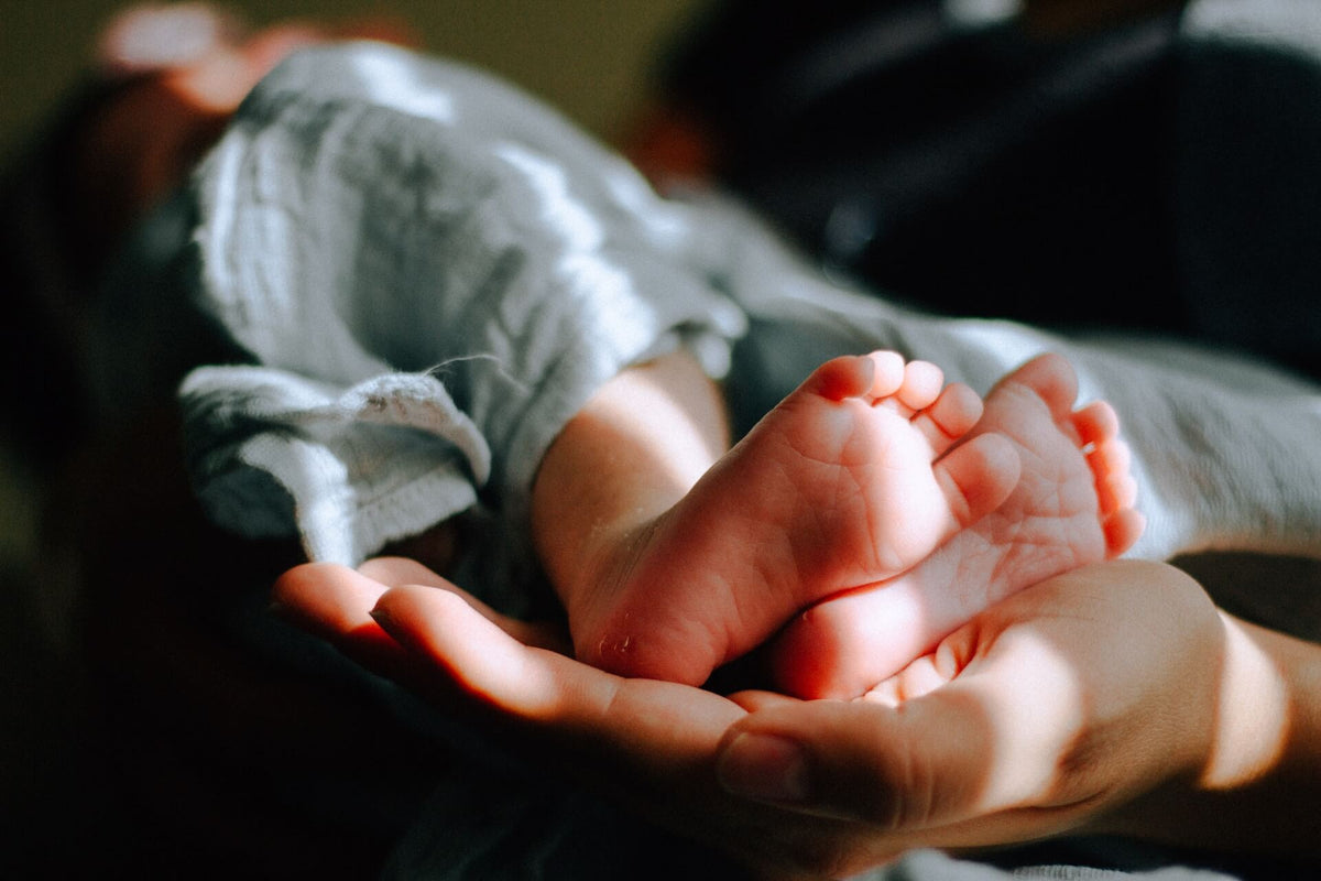 A baby's feet cradled in an adult's hand, illuminated by soft natural light.