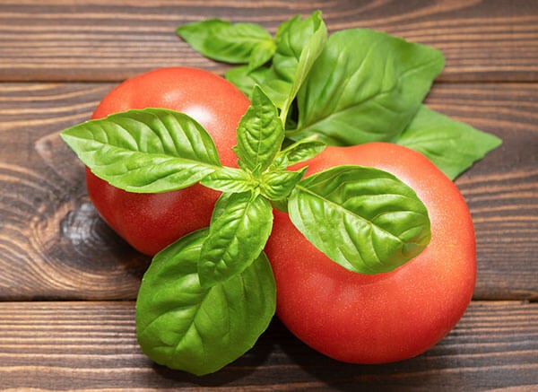Fresh basil leaves arranged with ripe red tomatoes on a wooden surface.