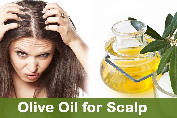 Olive Oil for Scalp - The Olive Tap